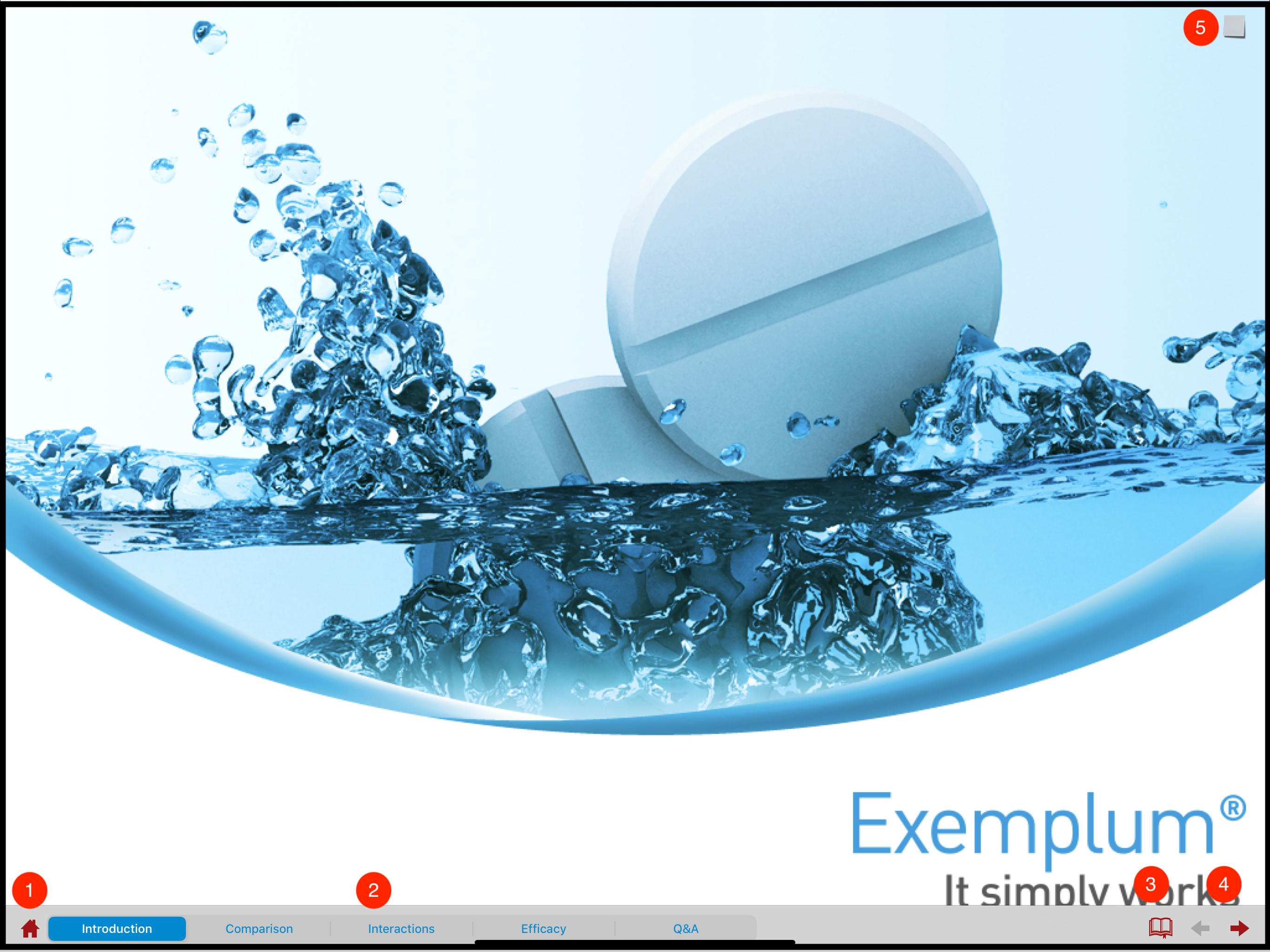 Sample Presentation in iPad