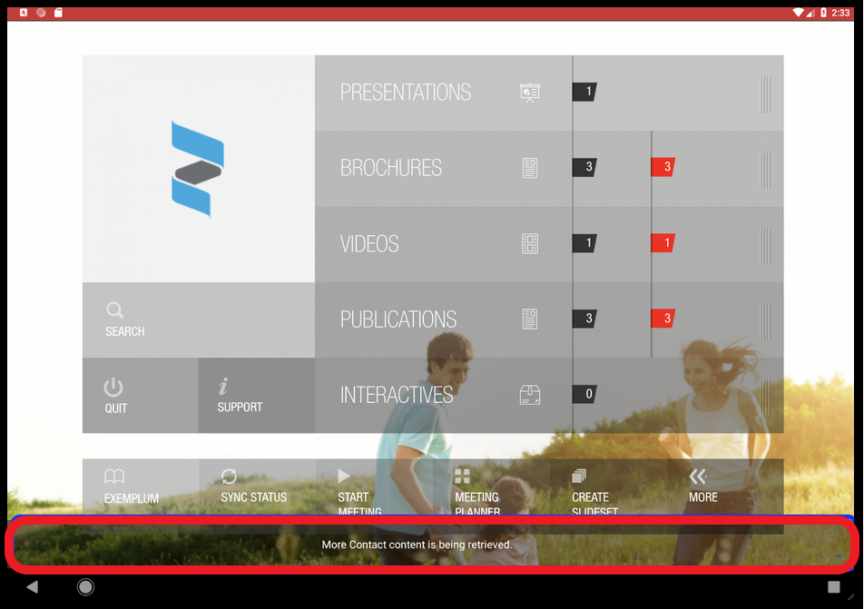 CRM Sync process after connection
