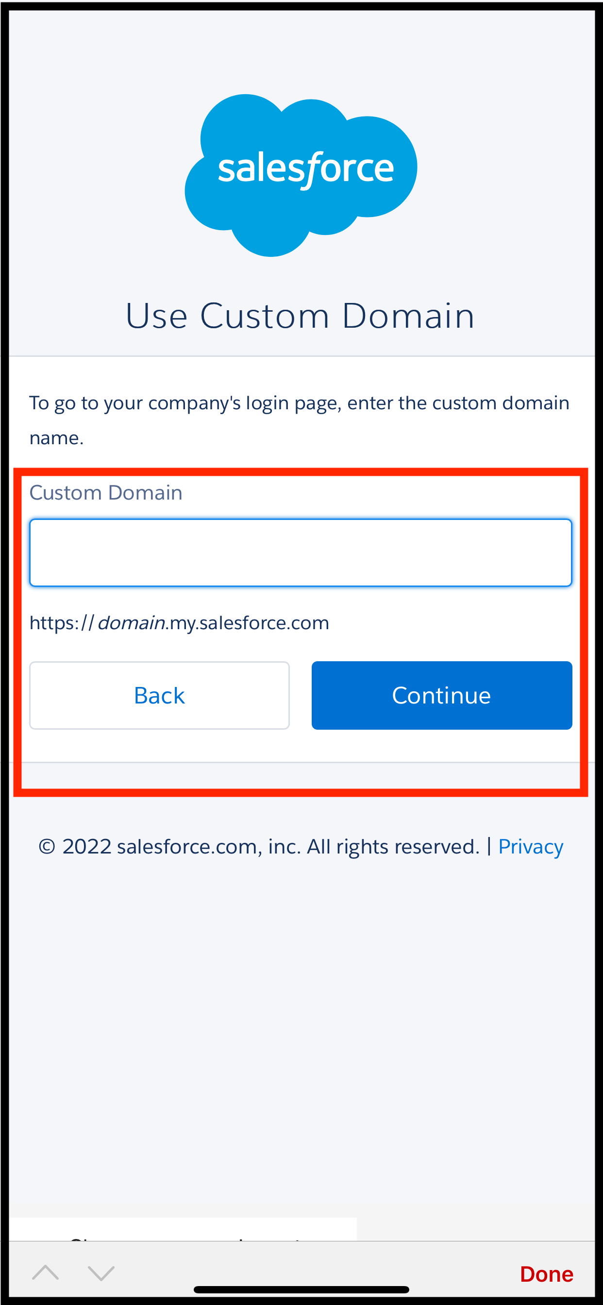 Custom Domain Login in iPhone